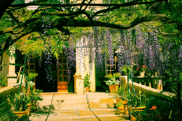 Alfabia Garten