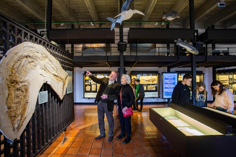 Steinzeit im Altmhltal mit Besichtigung des Jura-Museums auf der Willibaldsburg in Eichsttt - (c) Jura-Museum / Katholische Universitt Eichsttt